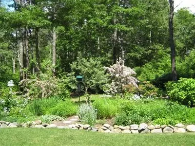 51 Far Fields Rd, Brewster, MA 02631 photo 31