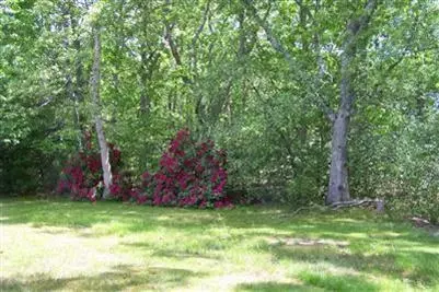 35 Millennium Ln, Eastham, MA 02642 photo 5