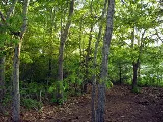 68 Bayview Rd, Mashpee, MA 02649 photo 6