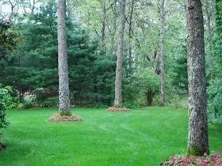 101 Clamshell Cove Rd, Cotuit, MA 02635 photo 8