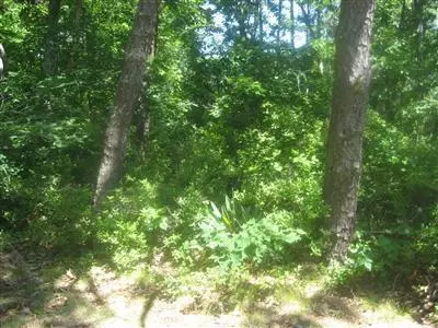 50 Riverside Rd, Mashpee, MA 02649 photo 12