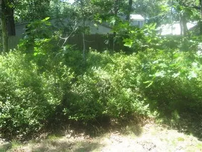 50 Riverside Rd, Mashpee, MA 02649 photo 11