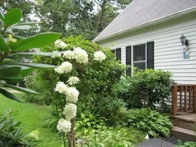 31 Salt Works Rd, Buzzards Bay, MA 02532 photo 17