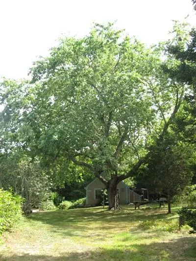 25 Kriss Ln, Eastham, MA 02642 photo 3