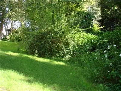 75 Elliott Rd, Centerville, MA 02632 photo 33