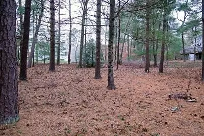 161 Eisenhower Dr, Cotuit, MA 02635 photo 8