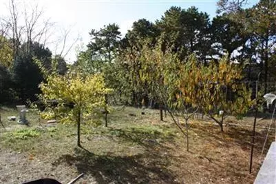 90 Wixom Ave, South Wellfleet, MA 02663 photo 4