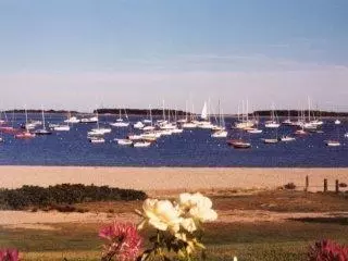 156 Chase St, Hyannis, MA 02601 photo 8