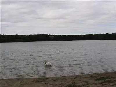 35 Spring Tide Ln, Eastham, MA 02642 photo 7