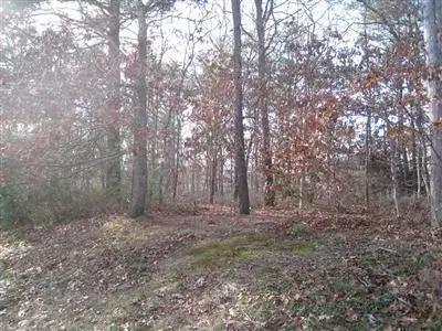 21 Bog River Bnd, Mashpee, MA 02649 photo 3