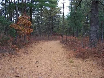 10 Red Pine Ln, Wareham, MA 02571 photo 27