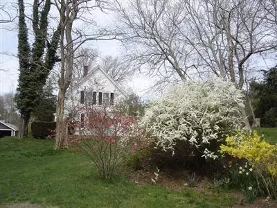 70 Rosa Ln, Marstons Mills, MA 02648 photo 12