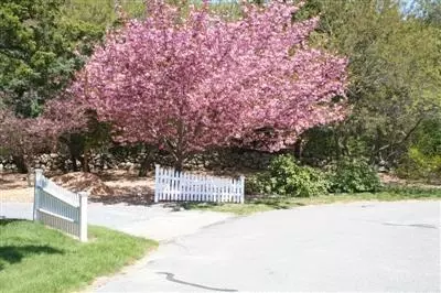 66 Allyn Ln, Barnstable, MA 02630 photo 33