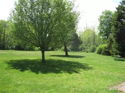 301 Pine St, Centerville, MA 02632 photo 4