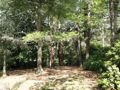 86 Old Farm Rd, Centerville, MA 02632 photo 5