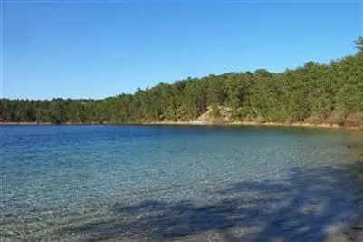 65 Delphi Path, Wellfleet, MA 02667 photo 2