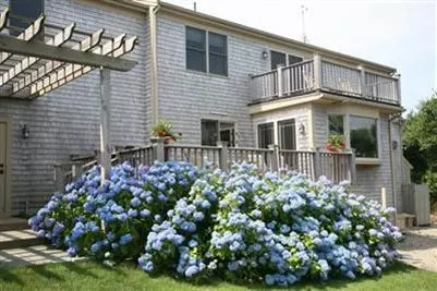 2 Nesting Way, East Sandwich, MA 02537 photo 7