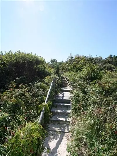 83 Dune Rd, Brewster, MA 02631 photo 11