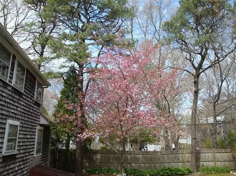 202 Arrowhead Dr, Hyannis, MA 02601 photo 33