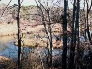 254 Riverview Ln, Centerville, MA 02632 photo 14