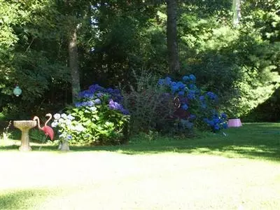 100 Curlew Way, Cotuit, MA 02635 photo 21
