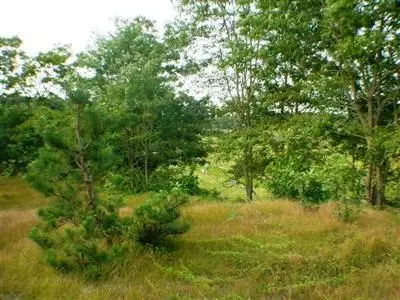 682 River Rd, Marstons Mills, MA 02648 photo 3