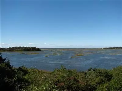 40 Teal Way, Eastham, MA 02642 photo 4