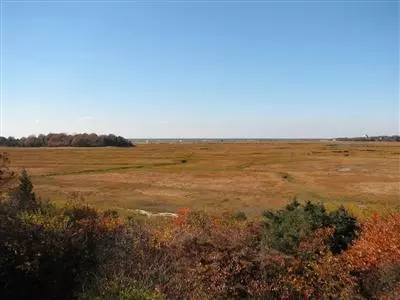 40 Teal Way, Eastham, MA 02642 photo 13