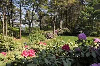 1751 Main St, Cotuit, MA 02635 photo 2