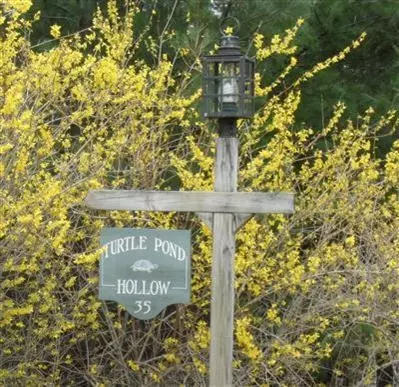 35 Turtle Pond Rd, Eastham, MA 02642 photo 22