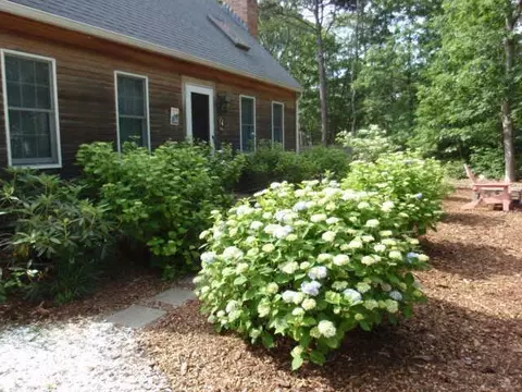 60 Windy Bay Rd, Eastham, MA 02642 photo 6