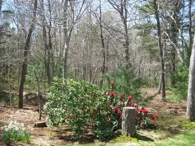 35 Shaker Dr, Bourne, MA 02532 photo 5