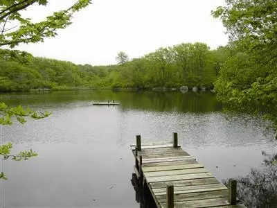 16 Turtle Cv, Chilmark, MA 02535 photo 3