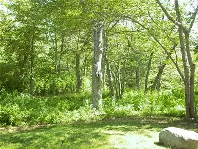 16 Turtle Cv, Chilmark, MA 02535 photo 8