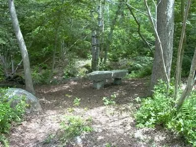 16 Turtle Cv, Chilmark, MA 02535 photo 9