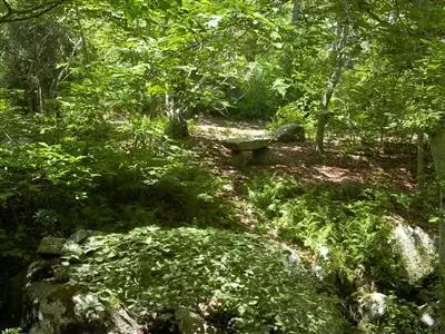 16 Turtle Cv, Chilmark, MA 02535 photo 11