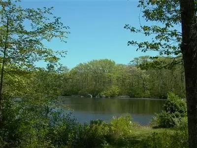 16 Turtle Cv, Chilmark, MA 02535 photo 7