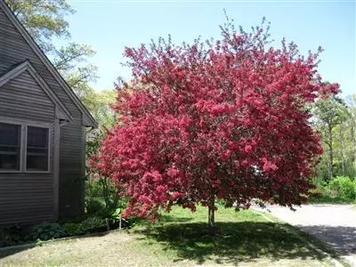 21 Boulder Rd, Brewster, MA 02631 photo 16