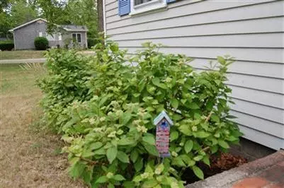 505 Higgins Rd, Eastham, MA 02642 photo 15