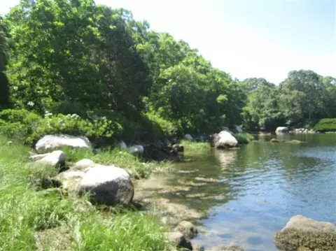 140 Eel Pond Rd, Monument Beach, MA 02553 photo 4