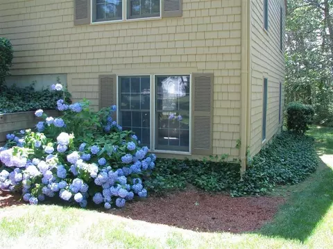 161 Camelback Rd, Marstons Mills, MA 02648 photo 23