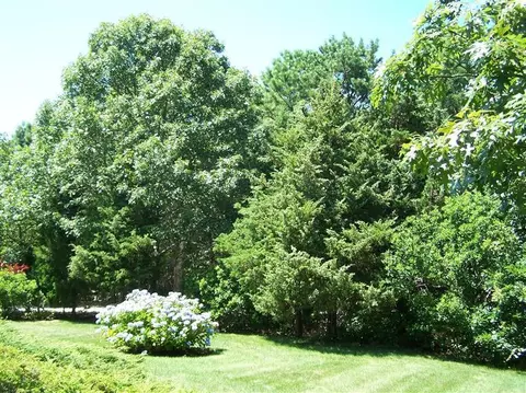 10 Teal Way, Eastham, MA 02642 photo 9