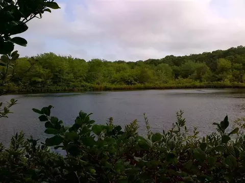 115 Parker Rd, West Barnstable, MA 02668 photo 22