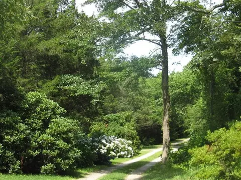 115 Parker Rd, West Barnstable, MA 02668 photo 2