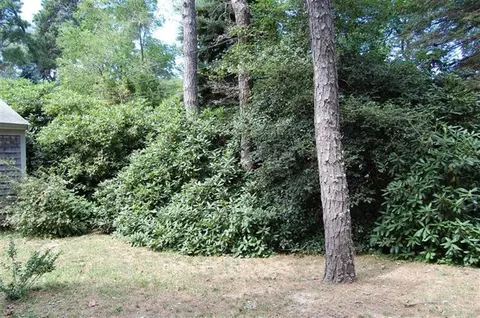 115 Shady Ln, Eastham, MA 02642 photo 11