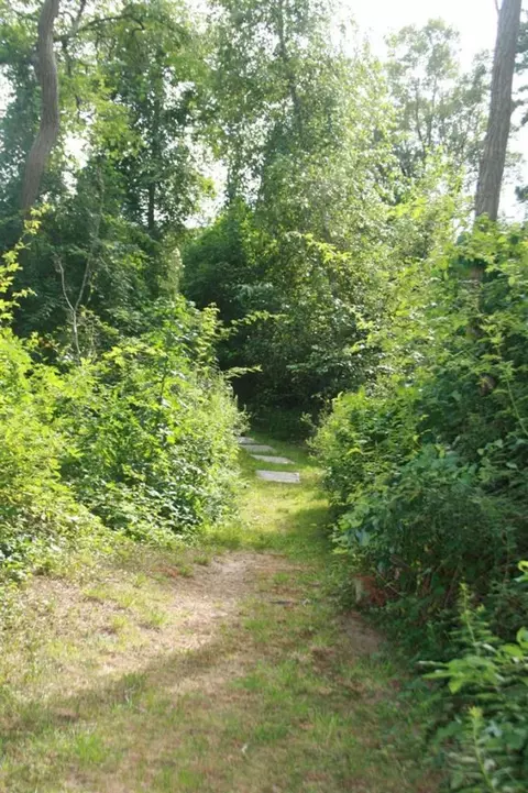 305 Mill Rd, Eastham, MA 02642 photo 30