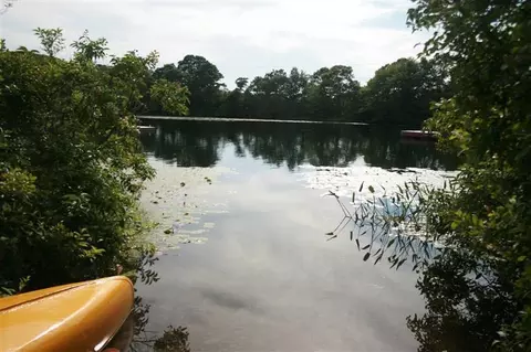 305 Mill Rd, Eastham, MA 02642 photo 3