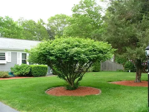 96 Sheaffer Rd, Centerville, MA 02632 photo 32
