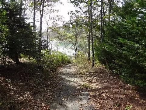 61 Clamshell Cove Rd, Cotuit, MA 02635 photo 11