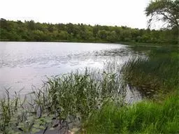 145 Lake Ave, East Wareham, MA 02538 photo 3